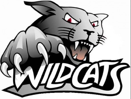 Wildcat - PTC